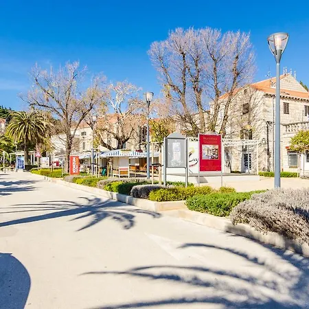 Casa de Férias Avalon House